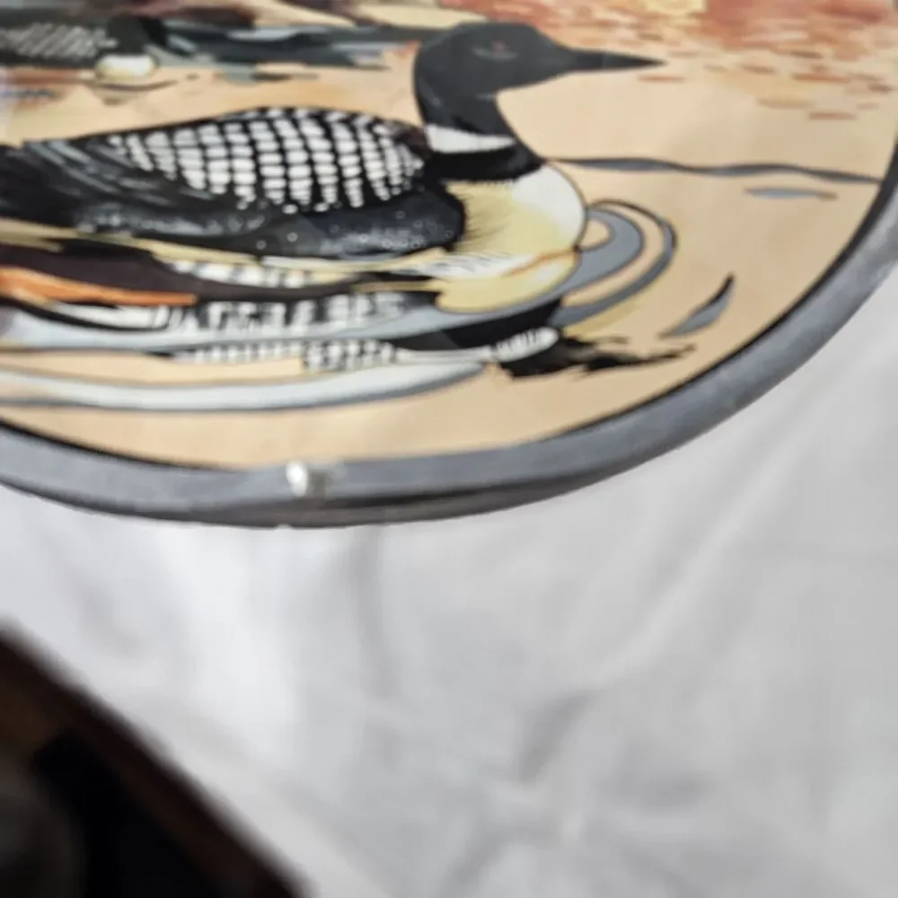 BLACK WHITE WATERFOWL DUCK  SUNCATCHER GLASSMASTERS from 1987, 8.5